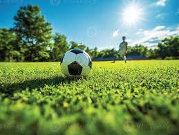 500即时比分用户使用场景